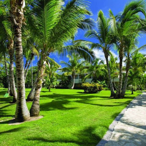 Catalonia Bavaro Beach, Golf & Casino Resort 5*, Домініканська республіка