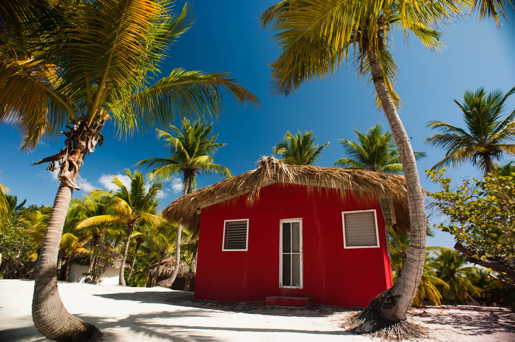 files/Rozdilu/Goteli Krajin/Dominicana/Banner/Catalina_Island,_La_Romana,_Dominican_Republic._A_typical_bungalow_nearby_cost_line,_shaded_with_palm_trees_(1).jpg